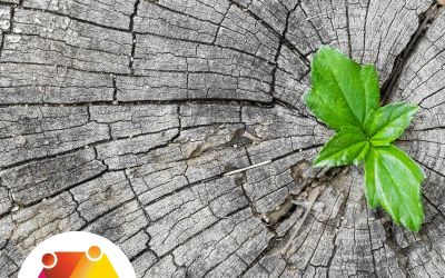As Your Client Changes, Do You?