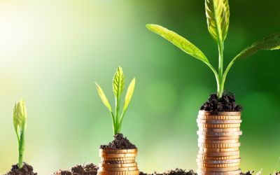 How Much Does My Potential Client Want To Spend?