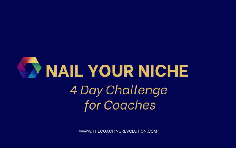 Nail Your Niche – Free 4-Challenge