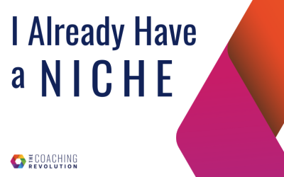 I Already Have a Niche