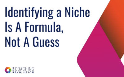 Identifying a Niche Is A Formula, Not A Guess
